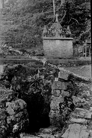 ST.PATRICK'S WELL THE WELL